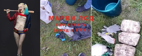 прущая мука Инсар
